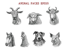 Animal Faces Hand Draw Engraving Style Black And White Clip Art Isolated On White Background