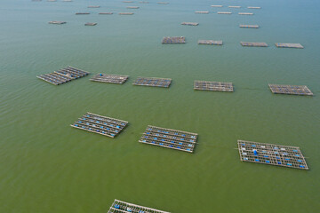 Poster - Yuen Long Lau Fau Shan oyster farm in Hong Kong