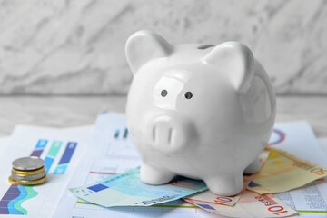 Wall Mural - Piggy bank with money and documents on light background