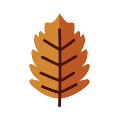 Sticker - autumn season leaf line and fill style icon isolated vector design