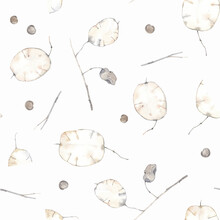 Lunaria. Watercolor Seamless Pattern. Vintage Background.