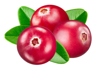 Wall Mural - Cranberry isolated on white background