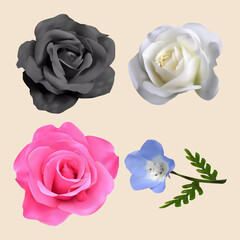 Canvas Print - realistic vector flower with attractive colors