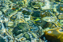 Texture Of Pebbles Under Water At The Seaside. Natural Background