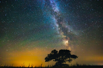 Wall Mural - Landscape with Milky way galaxy over the oak tree