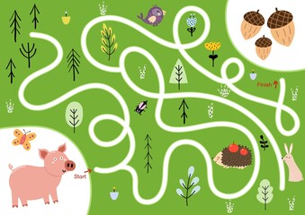 Help the cute hungry pig find path to acorns. Choose the correct way maze puzzle for kids. Funny labyrinth game. Vector illustration