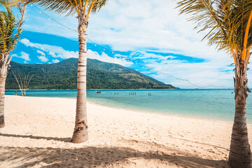 palms and sun beds with sea view. Tropical beach landscape as summer vacation and holiday resort