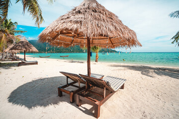 palms and sun beds with sea view. Tropical beach landscape as summer vacation and holiday resort