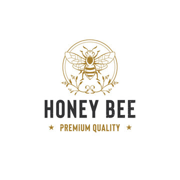 Honey bee logo template. Hand drawn vintage style illustrations