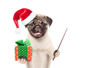 Aufkleber - Pug puppy  wearing a red christmas hat holds gift box and points away on empty space. isolated on white background