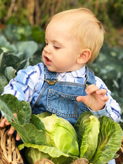 The child is a little farmer. Farm assistant.