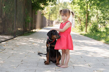 Child Posing With Beautiful Doberman Puppy Outdoors