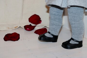 Doll's legs in gray knitted tights and black sandals, and burgundy rose petals on a light background.