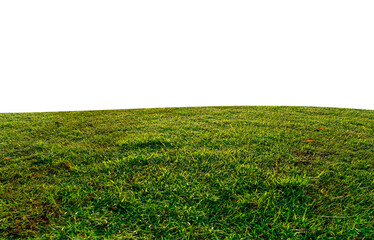 Wall Mural - Green grass field isolated on white background with clipping path.