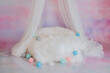 © Fotopoema - Baby sitter photo session in a photo studio with colourful lights