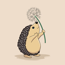 Hedgehog Play Dandelion Flower Flying Cartoon Porcupine