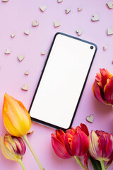 Wall Mural - phone mockup with tulip flowers, flower, blossom, flat lay, top view digital invitation