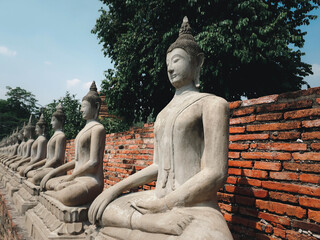 Wall Mural - ancient white buddha statues with brick pagoda surface background in Ayuthaya, Thailand