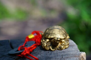 Wall Mural - Metal turtle Feng Shui on a wooden background. Next to it are Chinese coins.