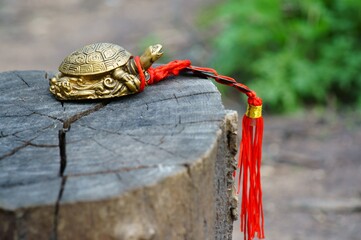 Wall Mural - Metal turtle Feng Shui on a wooden background. Next to it are Chinese coins.