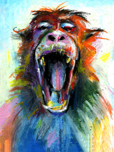 Screaming Monkey Free Stock Photo - Public Domain Pictures