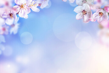 Wall Mural - blossom tree over nature background. spring flowers. spring background.
