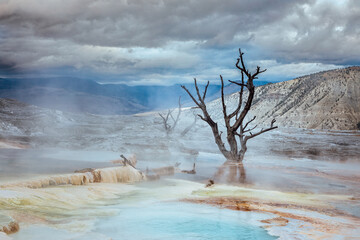 Wall Mural - The terraces of Mammoth Hot springs in the Yellowstone National Park on a cloudy day