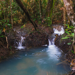 Canvas Print - waterfall in the forest