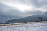 Fototapeta  - Rural landscape in winter Carpathian mountains