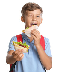 Wall Mural - Schoolboy eating sandwich on white background