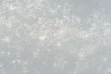 Wall Mural - Detail of snowflakes in winter.