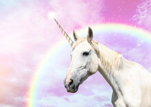 Magic Unicorn In Beautiful Sky With Rainbow And Fluffy Clouds. Fantasy World