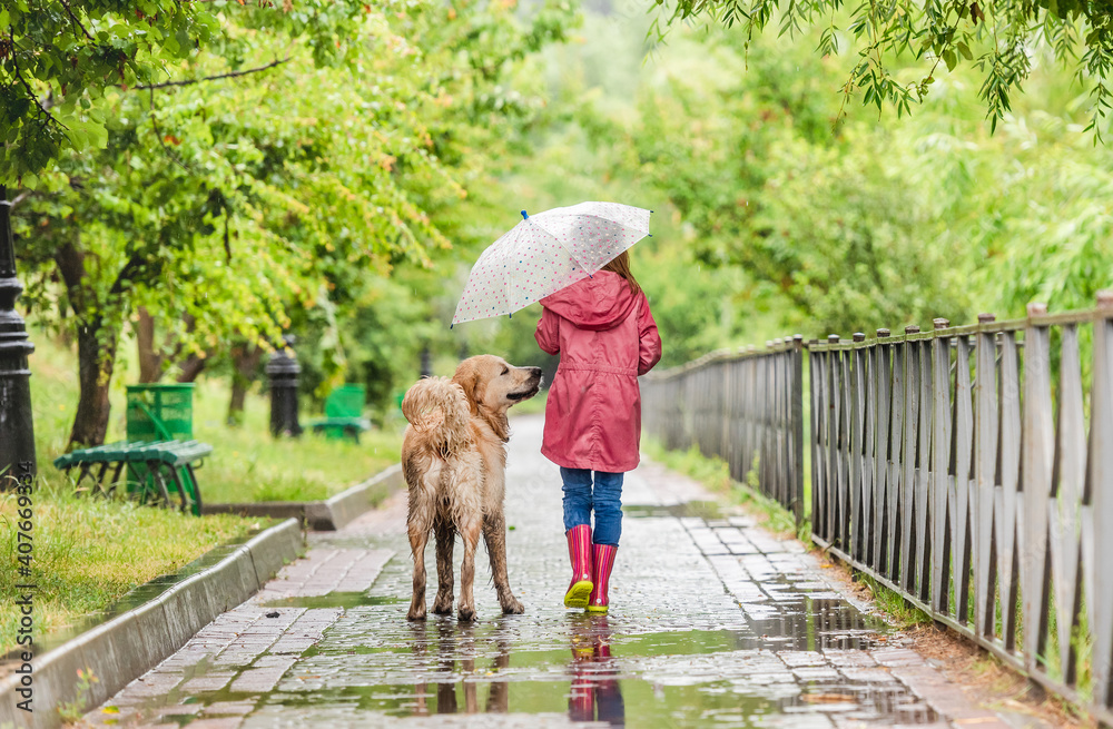 Little girl walking dog under rain - obrazy, fototapety, plakaty 
