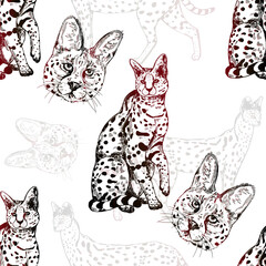 Wall Mural - Seamless pattern of hand drawn sketch style isolated servals. Vector illustration.