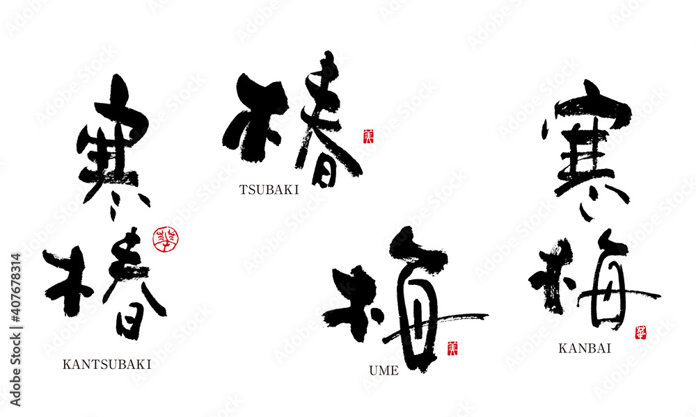 Illustration Stock 椿 寒椿 つばき 梅 寒梅 うめ 筆文字 デザイン書道