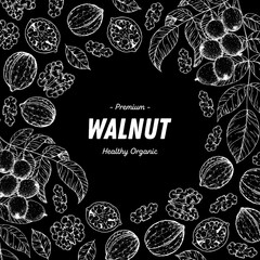 Wall Mural - Walnut nuts hand drawn sketch. Nuts vector illustration. Organic healthy food. Great for packaging design. Engraved style. Black and white color.