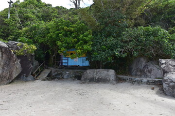 Wall Mural - praia da armaçao - floripa