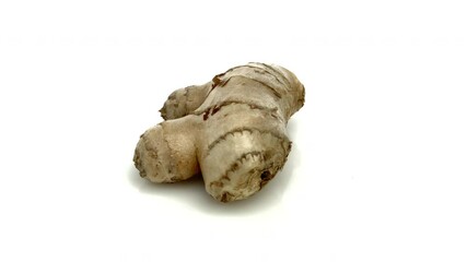 Poster - ginger isolated on white background