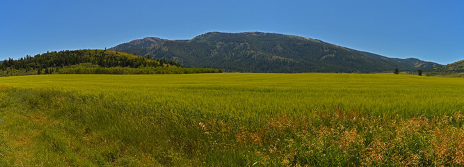 Poster - Panoramic shot of a mountainous area and an agricultural field under the blue sky