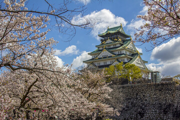 Wall Mural - Cherry blossom trees (Sakura) and Osaka Castle (Osaka-jo), located in Chuo-ku, Osaka, Kansai (Japan)