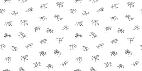 Wall Mural - Hand drawn honey bee seamless pattern. Endless vector print with line insect drawn by ink. Monochrome realistic animal drawing sketch illustration isolated on white background