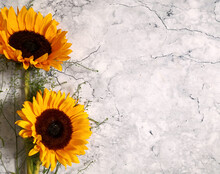 Two Sunflowers Sitting On A Marble Surface Shot From Above With Space For Text. Top View, Flat Lay, Copy Space. Summer Background. Mother's Day Card Template.