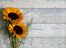 Two Sunflowers Sitting On Wooden Surface Shot From Above With Space For Text. Top View, Flat Lay, Copy Space. Summer Background. Mother's Day Card Template.