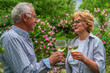 © TSViPhoto - Senior man and lady holding, clinking glasses and drink  wine. Communication, friendly laughter, relationship
