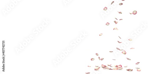 Red and white rose petals fly and fall to the floor © injenerker