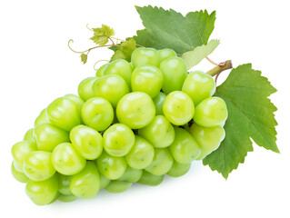 Wall Mural - sweet green grape isolated on white, shine muscat grape isolated on white background with clipping p