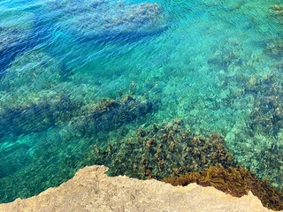 Canvas Print - Sea turquoise water crystal clear waves background, coral reef in the ocean, summer relax, vacation, relaxing holidays, wonderful seascape, freshness, swimming, zen, meditation, spa.