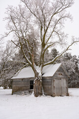 Wall Mural - Old barn in the snow.