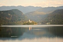 Lake Bled And Bled Island In Slovenia With Pilgrimage Church Of The Assumption Of Maria In The Julian Alps. Pastel Colors During A Golden Hour Sunrise. Swan Gliding Across The Reflection Of The Island