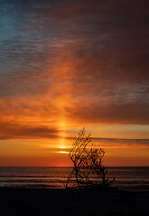 Wall Mural - beautiful sunrise at the beach over the ocean